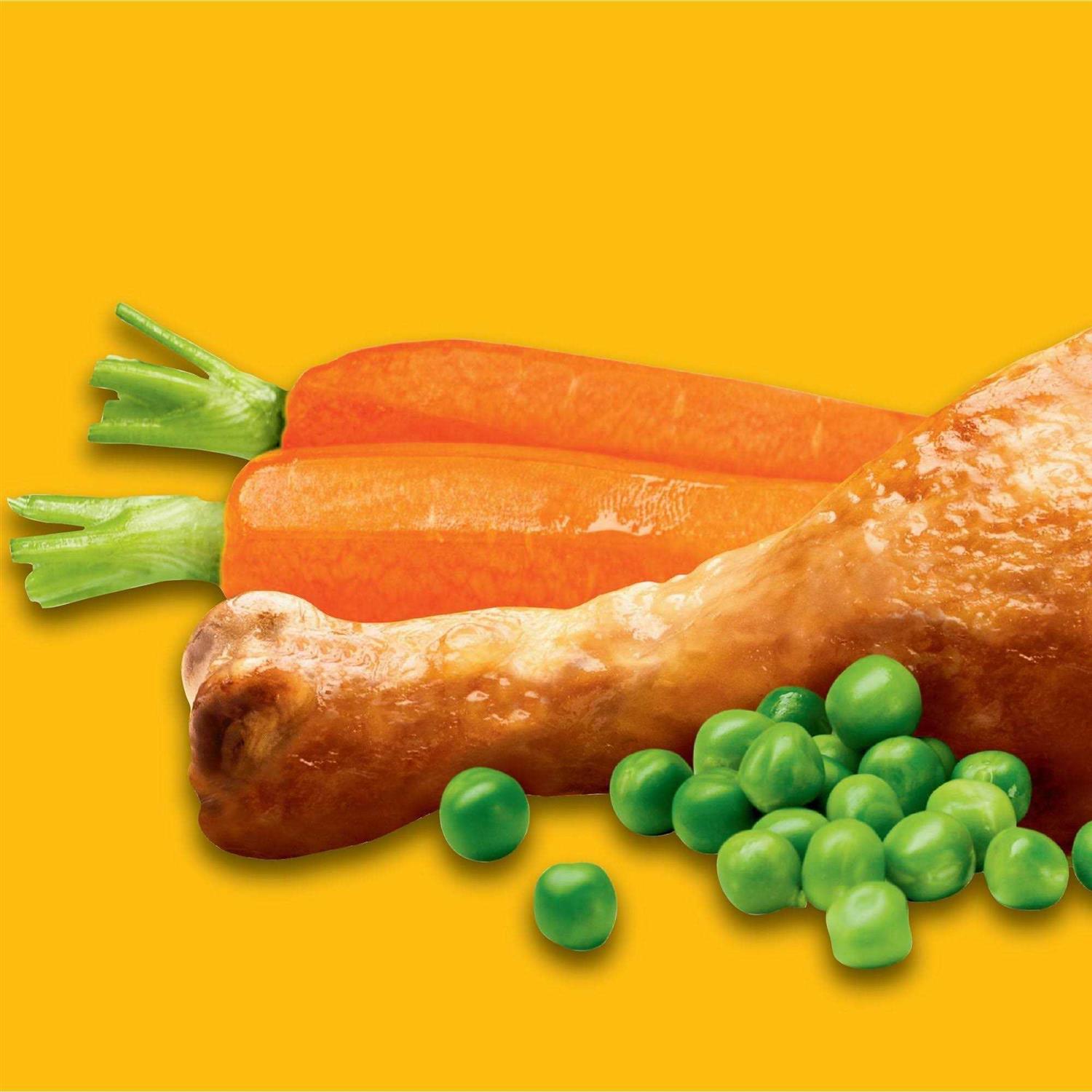 Pedigree Complete Nutrition Adult Dry Dog Food - Nail Gallerys