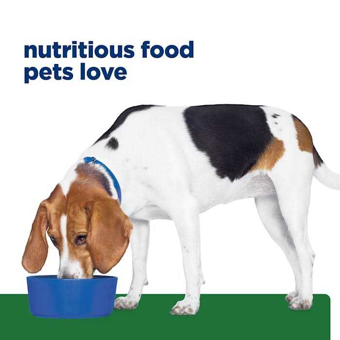 Hill’s Prescription Diet r/d Weight Chicken Flavor Dry Dog Food - Nail Gallerys