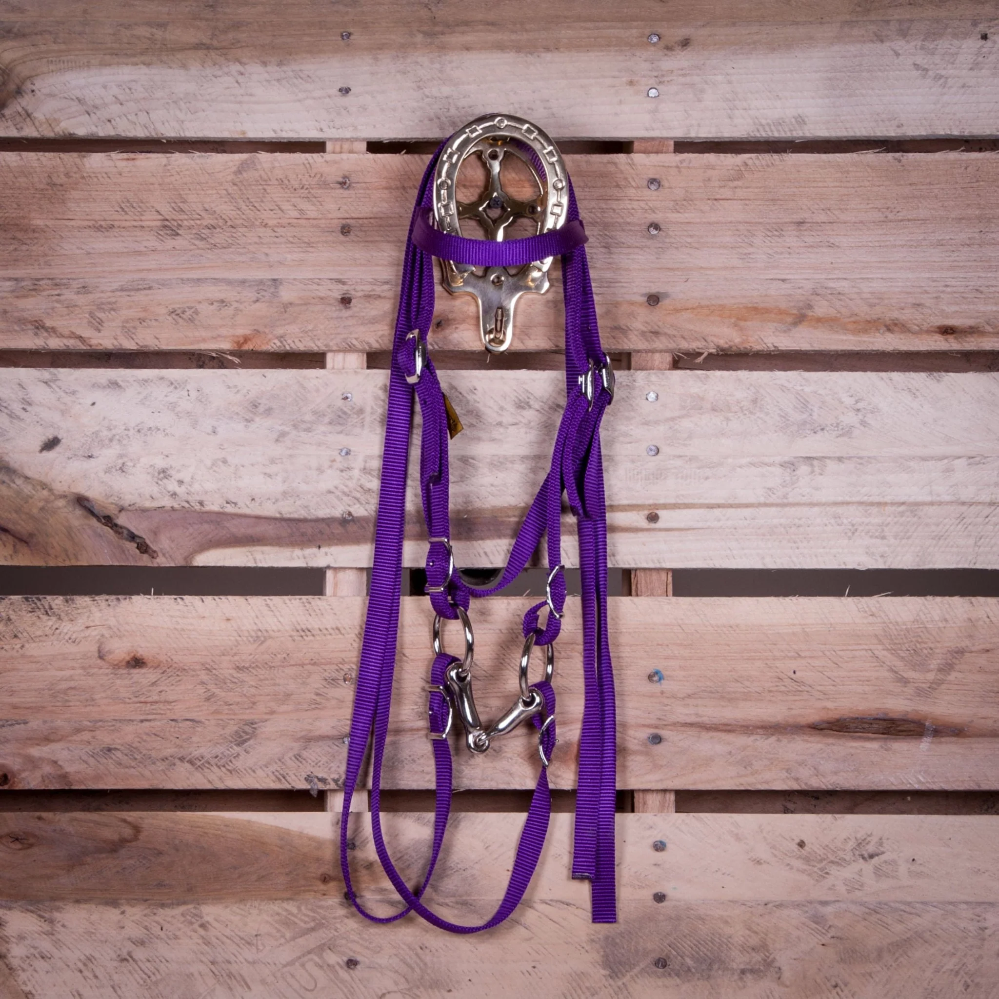Triple E Miniature Nylon Headstall with Bit & Reins - Nail Gallerys
