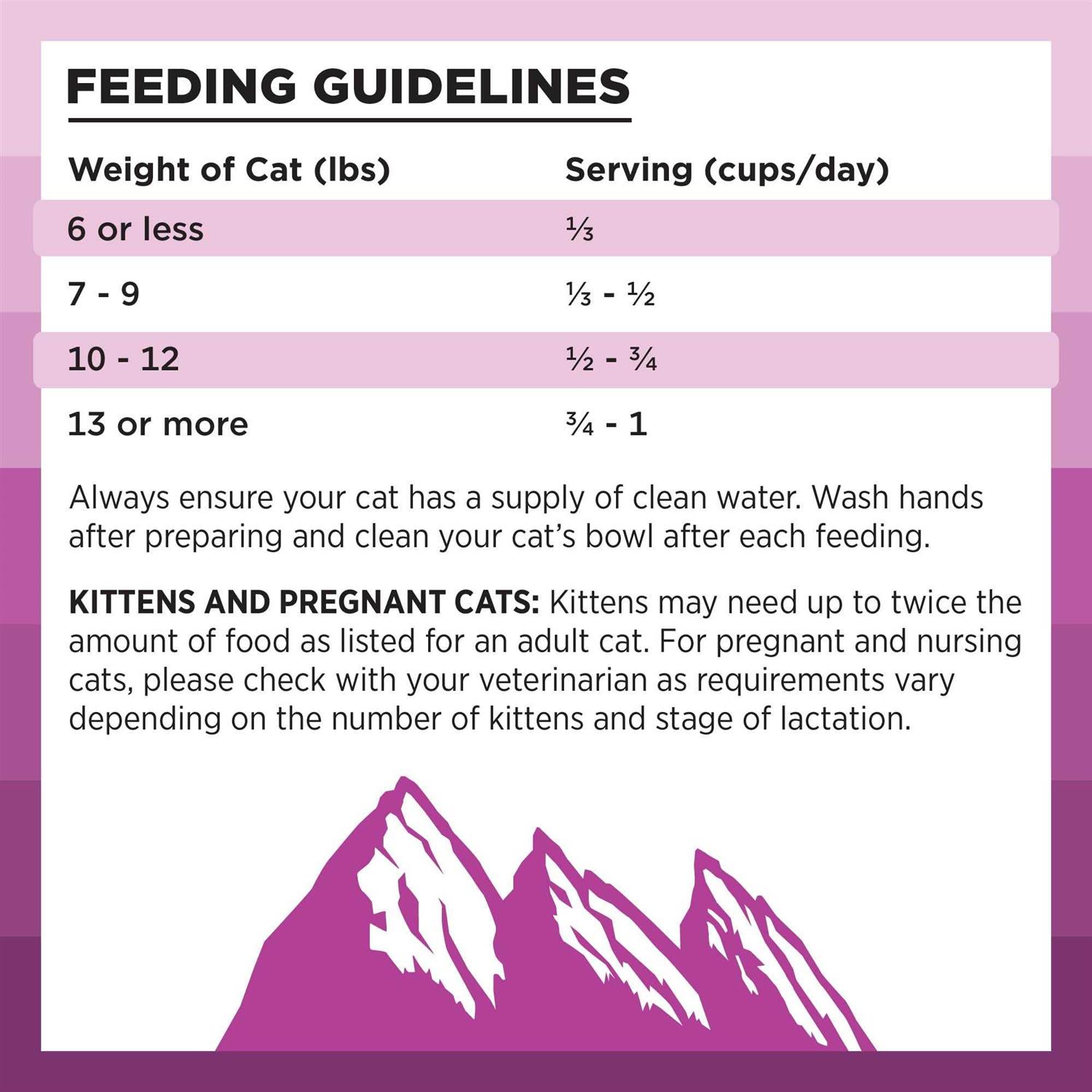 Bixbi Rawbble Chicken Recipe Dry Cat Food - Nail Gallerys