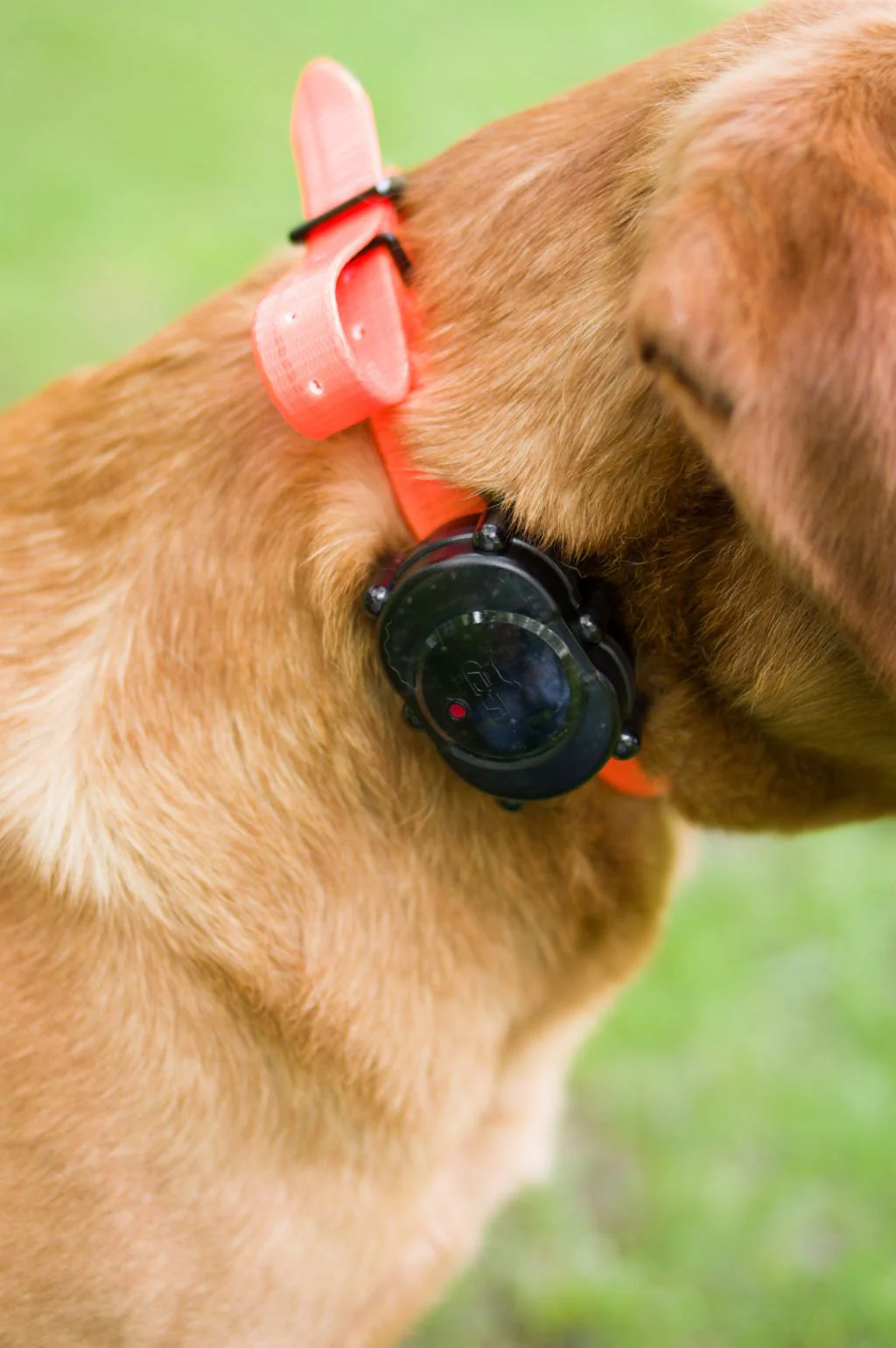 Mircro-iDT Plus Add-On Collar - Nail Gallerys