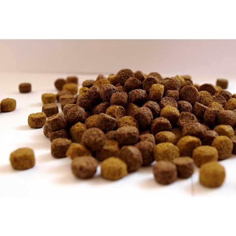 FirstMate Grain Free Chicken Meal with Blueberries Formula Dog Food - Nail Gallerys