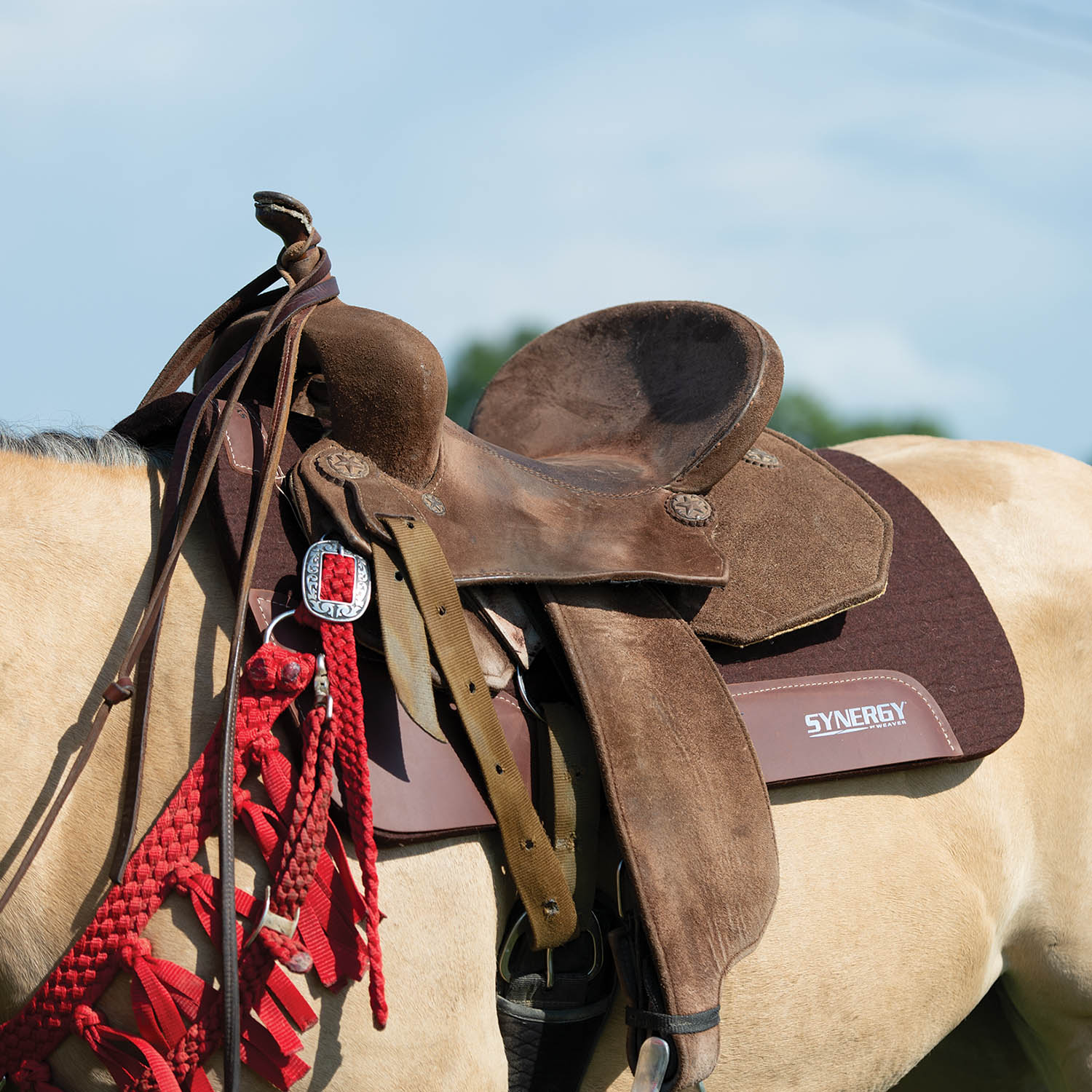 Weaver Synergy Contoured Steam Pressed 100% Merino Wool Felt Performance Saddle Pad - Nail Gallerys