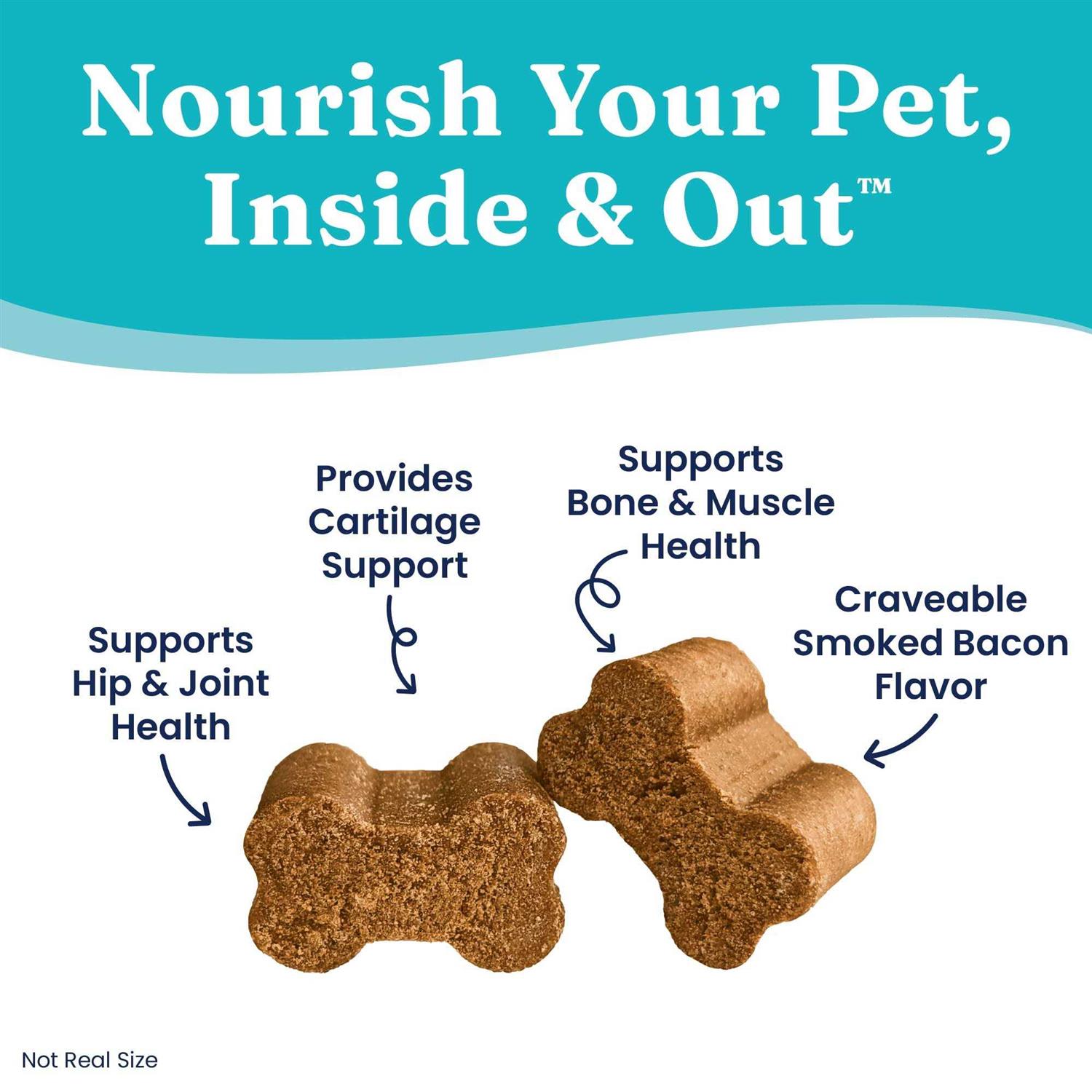 Solid Gold Leaps & Hounds Soft Chews Glucosamine Chondroitin Joint Supplement for Dogs - Nail Gallerys