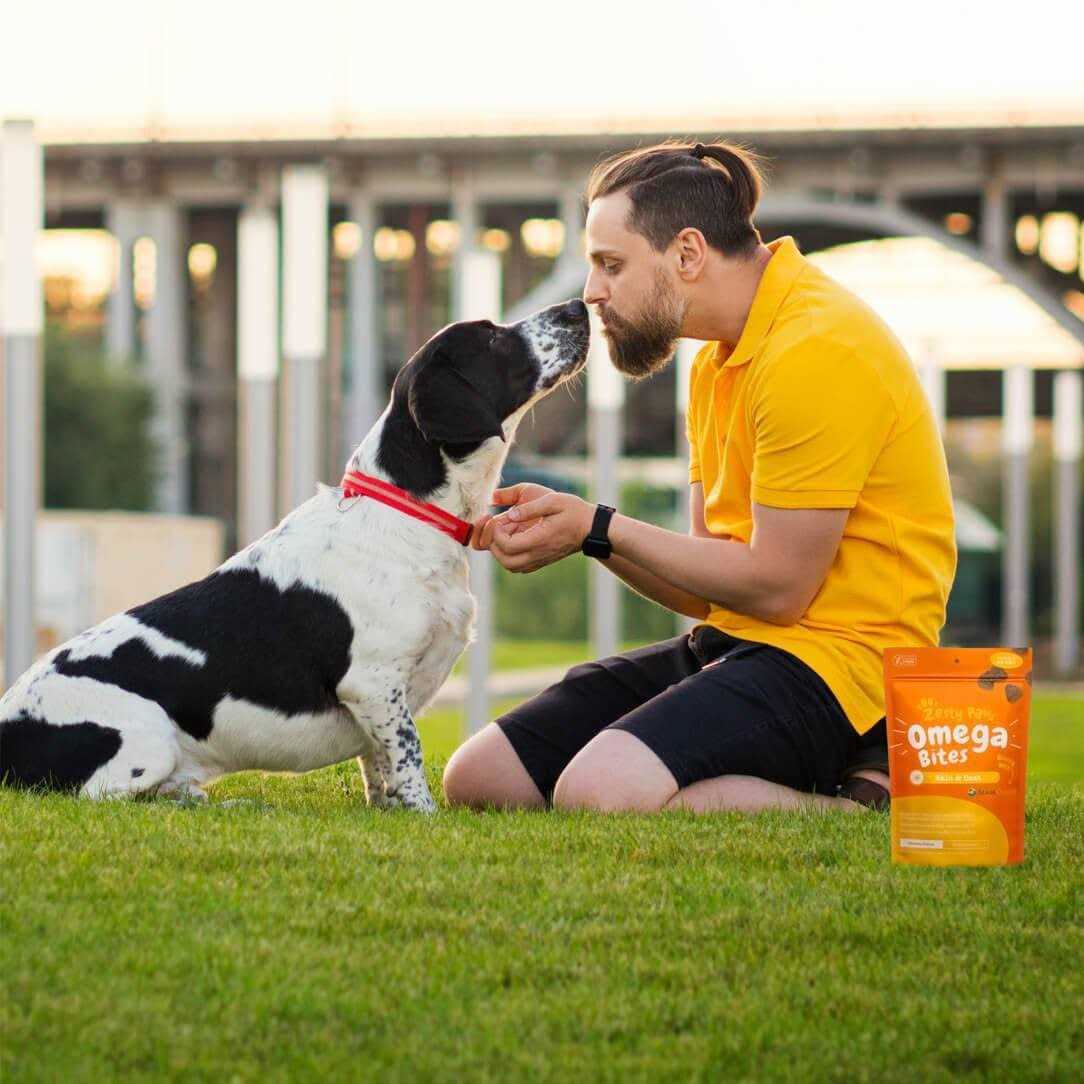 Zesty Paws Skin & Coat Omega Bites for Dog Chicken Flavor - Nail Gallerys