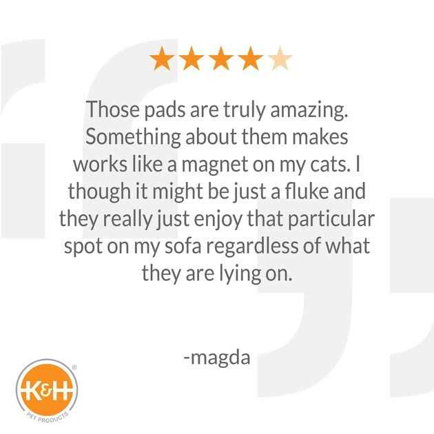 K&H Pet Products Amazin Kitty Pad - Nail Gallerys