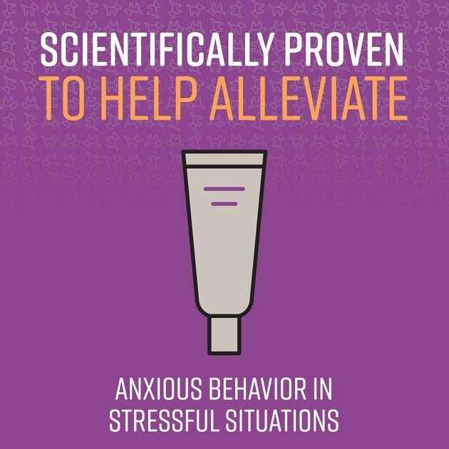 Sentry Calming Ointment for Dogs - Nail Gallerys