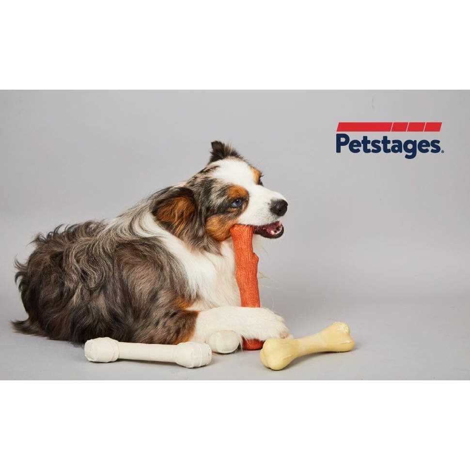 Petstages Dogwood Stick Dog Chew Toy - Nail Gallerys