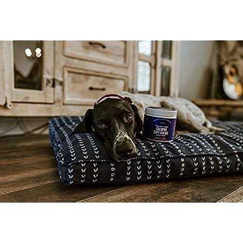Natural Rapport The Only Calming Soft Chews Dogs Need - Nail Gallerys