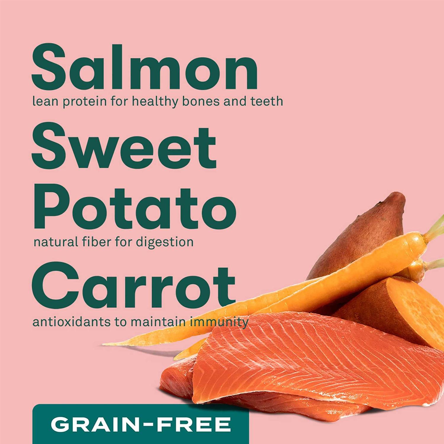 Jinx Salmon Sweet Potato Carrot Grain Free Dog Food - Nail Gallerys