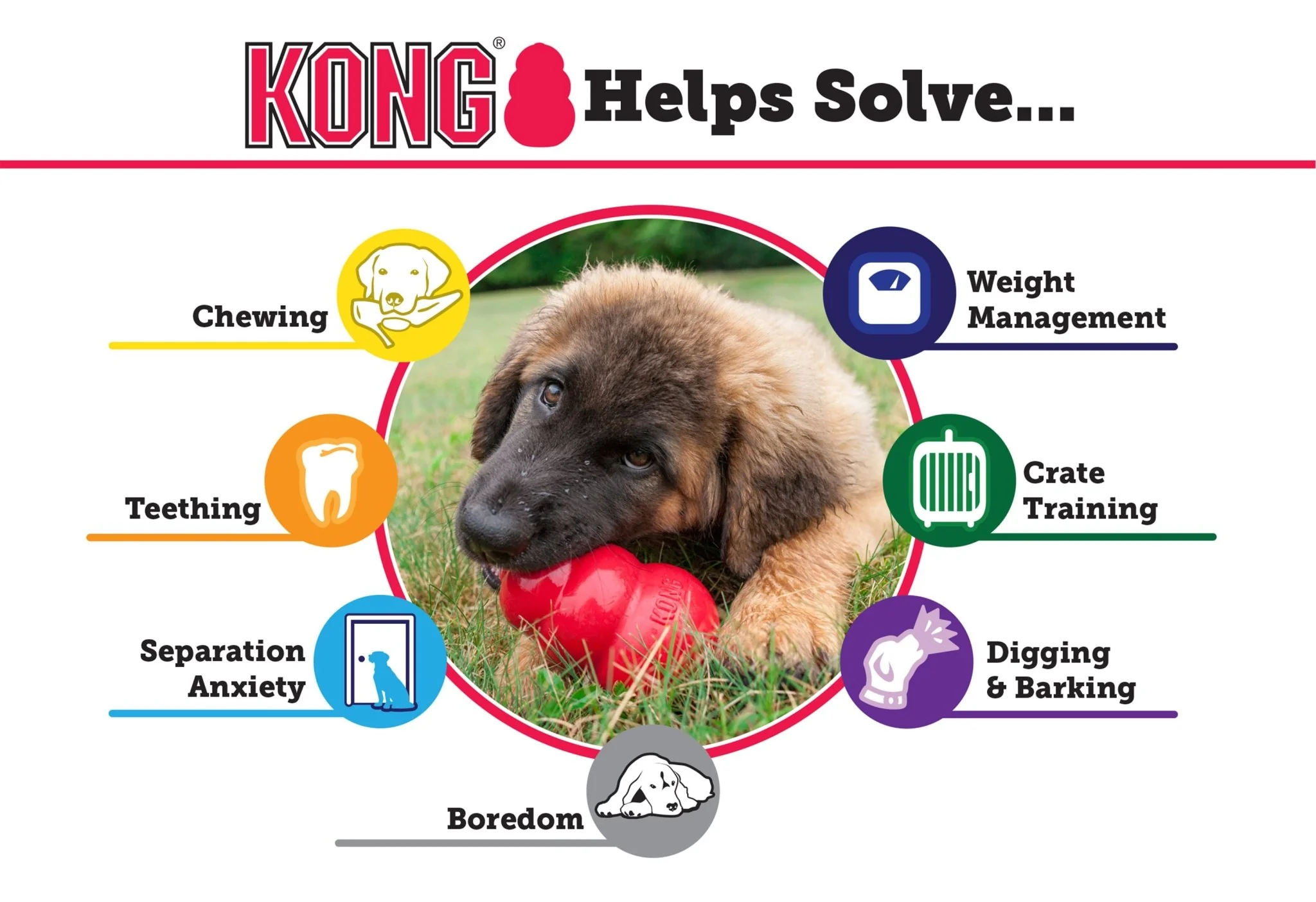 KONG Extreme Dog Toy for Power Chewers - Nail Gallerys