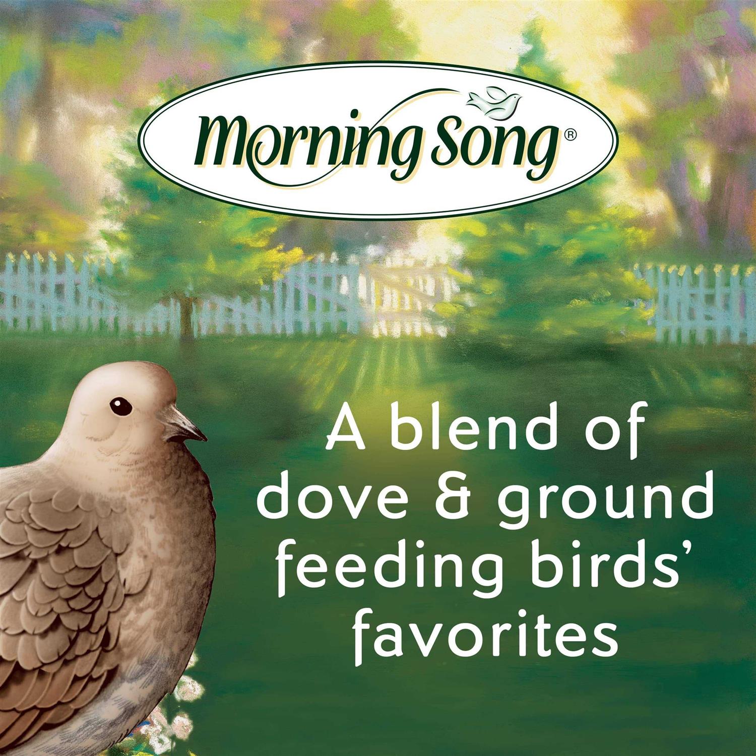 Morning Song 11974 Dove And Ground Feeding Wild Bird Food - Nail Gallerys