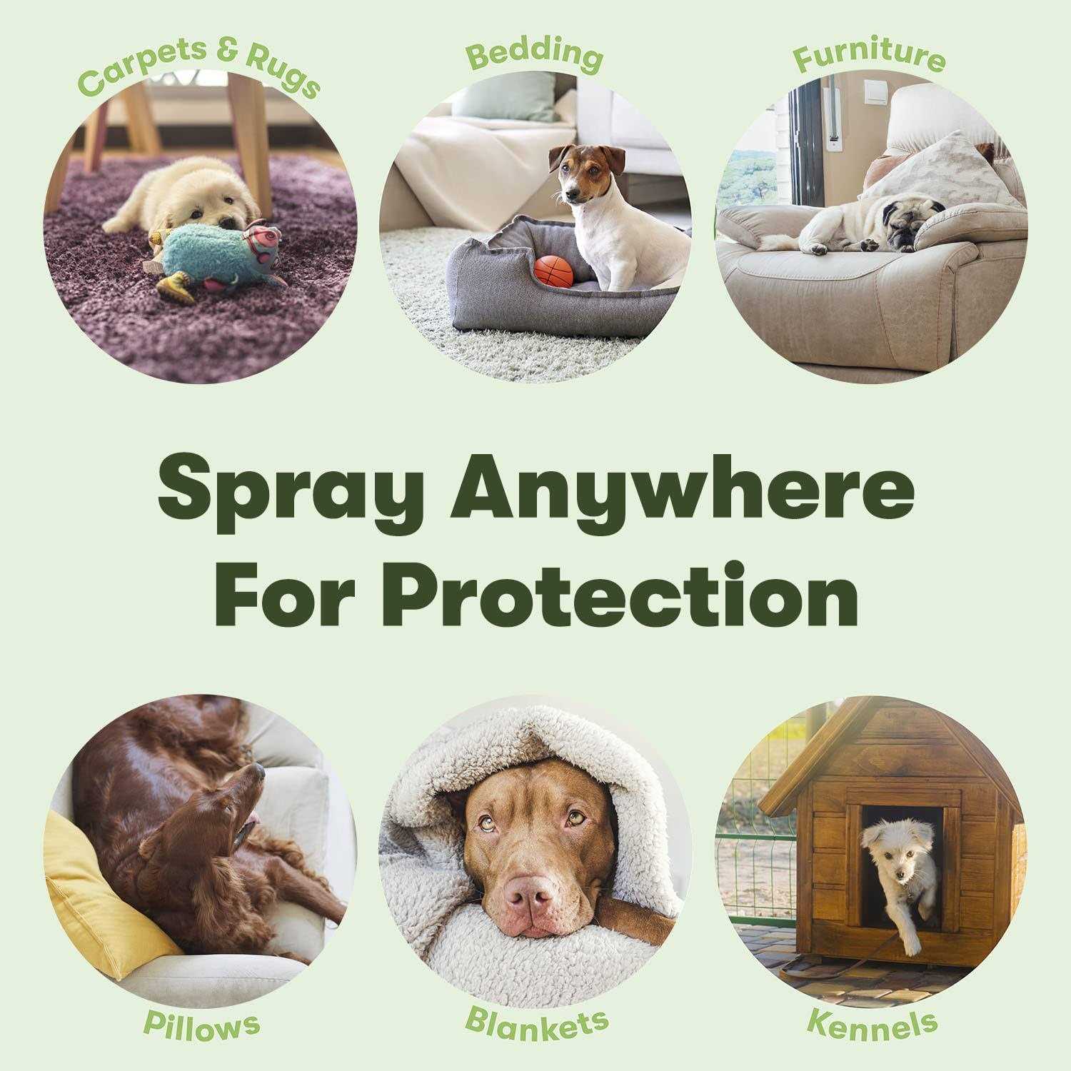 Bugmd Flea and Tick Concentrate Essential Oil-Powered Formula, Controls Fleas, Ticks, Mites in Dogs, Cats, and Other Furred - Nail Gallerys