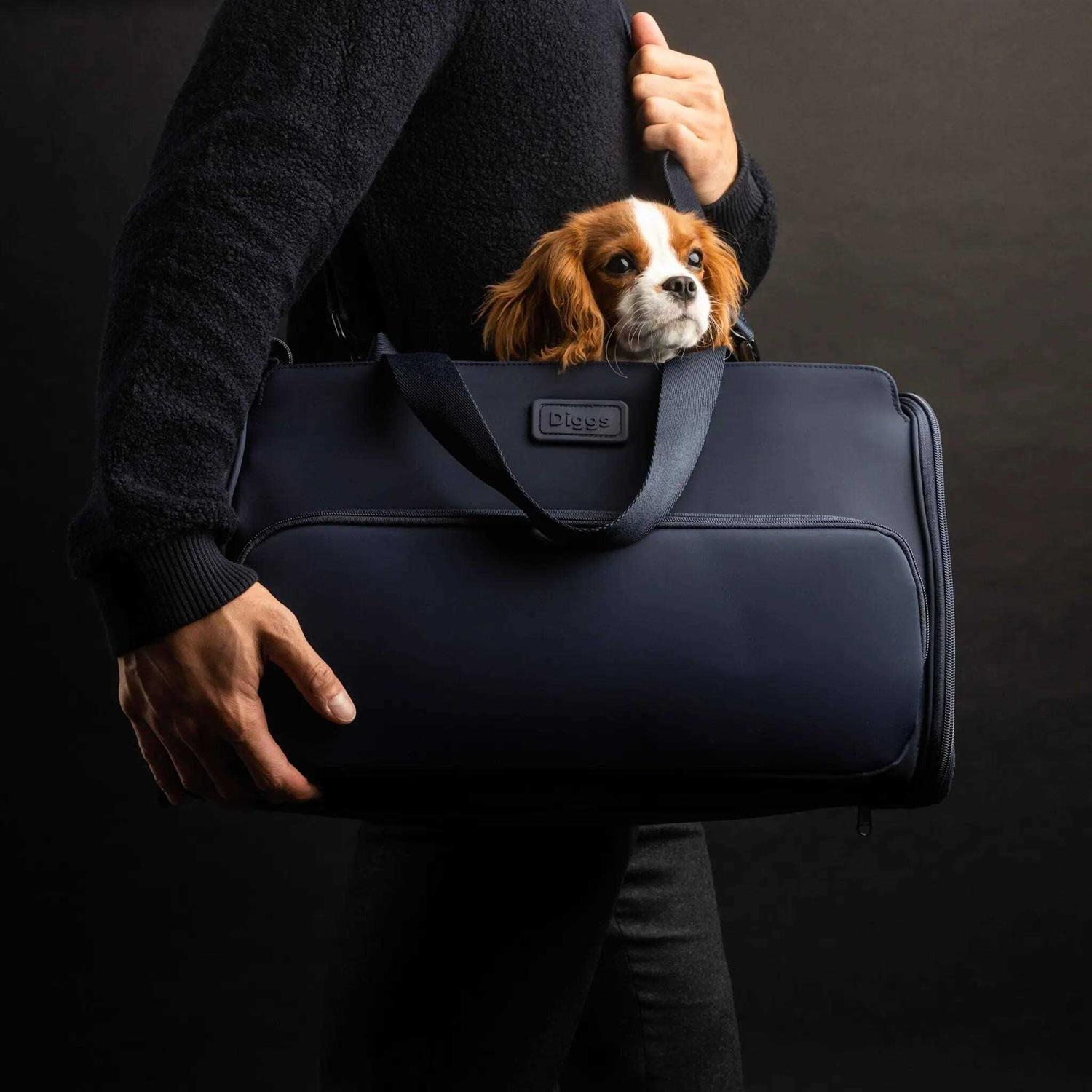 Diggs Travel Pet Carrier for Small Dogs and Cats, Plane, Train, or Car - Nail Gallerys