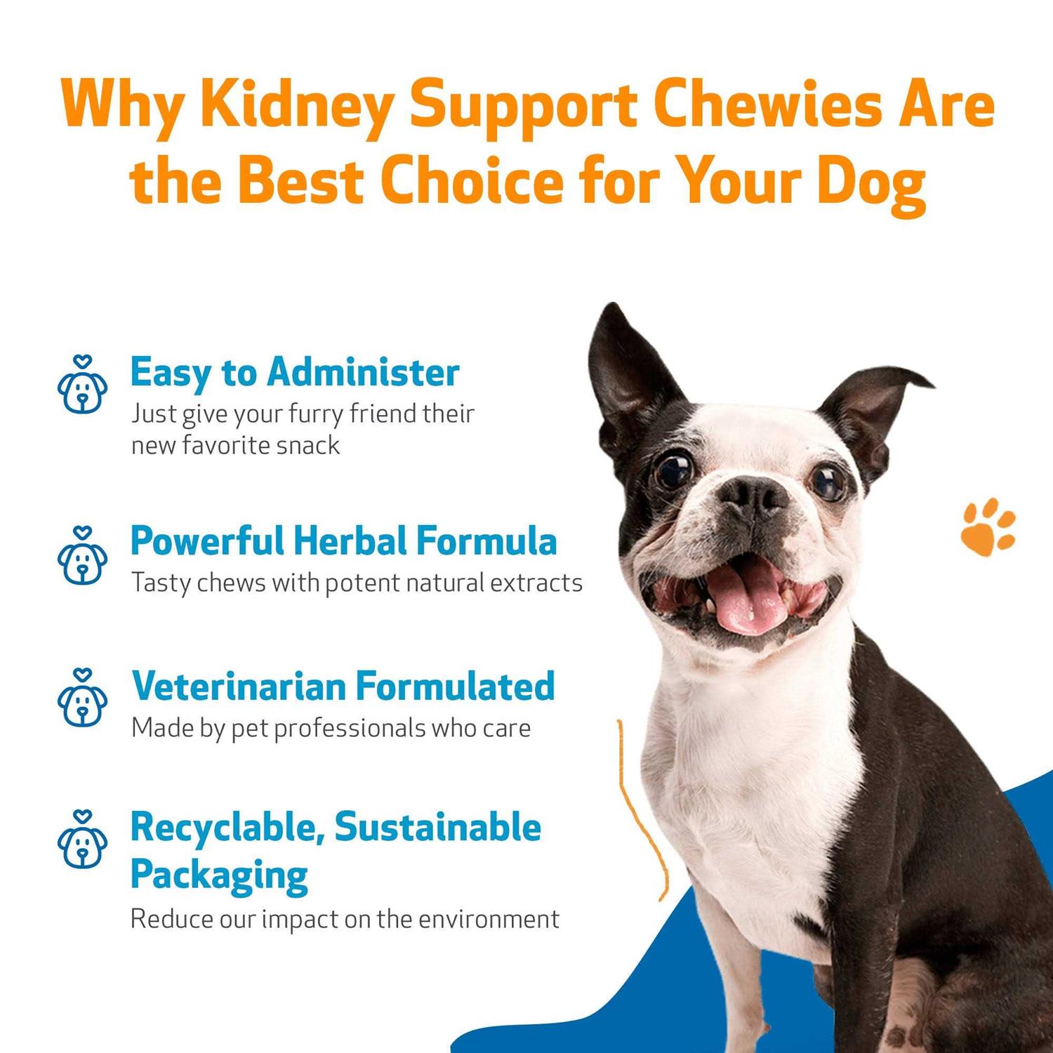Kidney Support Chewies for Dogs by Pet Wellbeing - Nail Gallerys