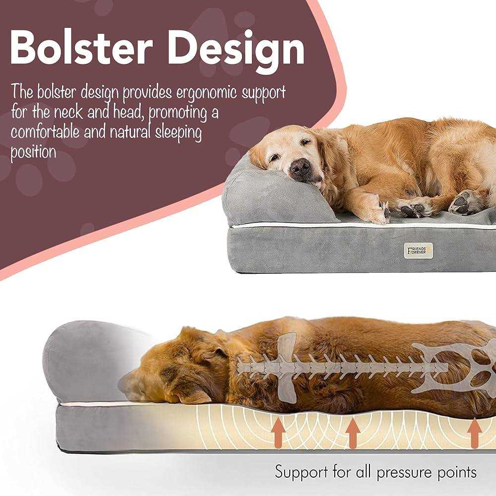Friends Forever Memory-Foam Orthopedic Dog Bed - Nail Gallerys
