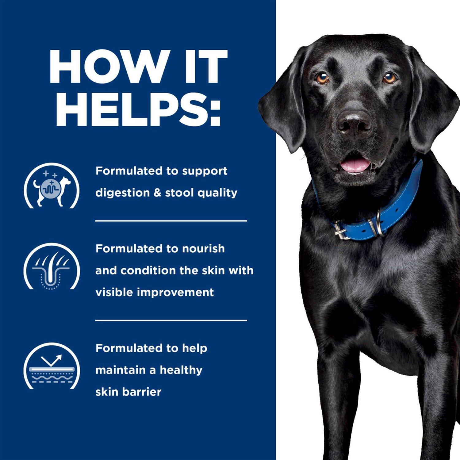 Hill’s Prescription Diet d/d Skin/Food Sensitivities Potato & Salmon Recipe Dry Dog Food - Nail Gallerys