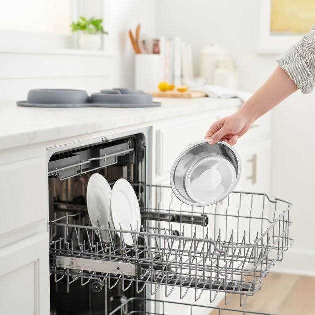 Frisco Silicone Slow Feeder Mat with Stainless Steel Bowl - Nail Gallerys