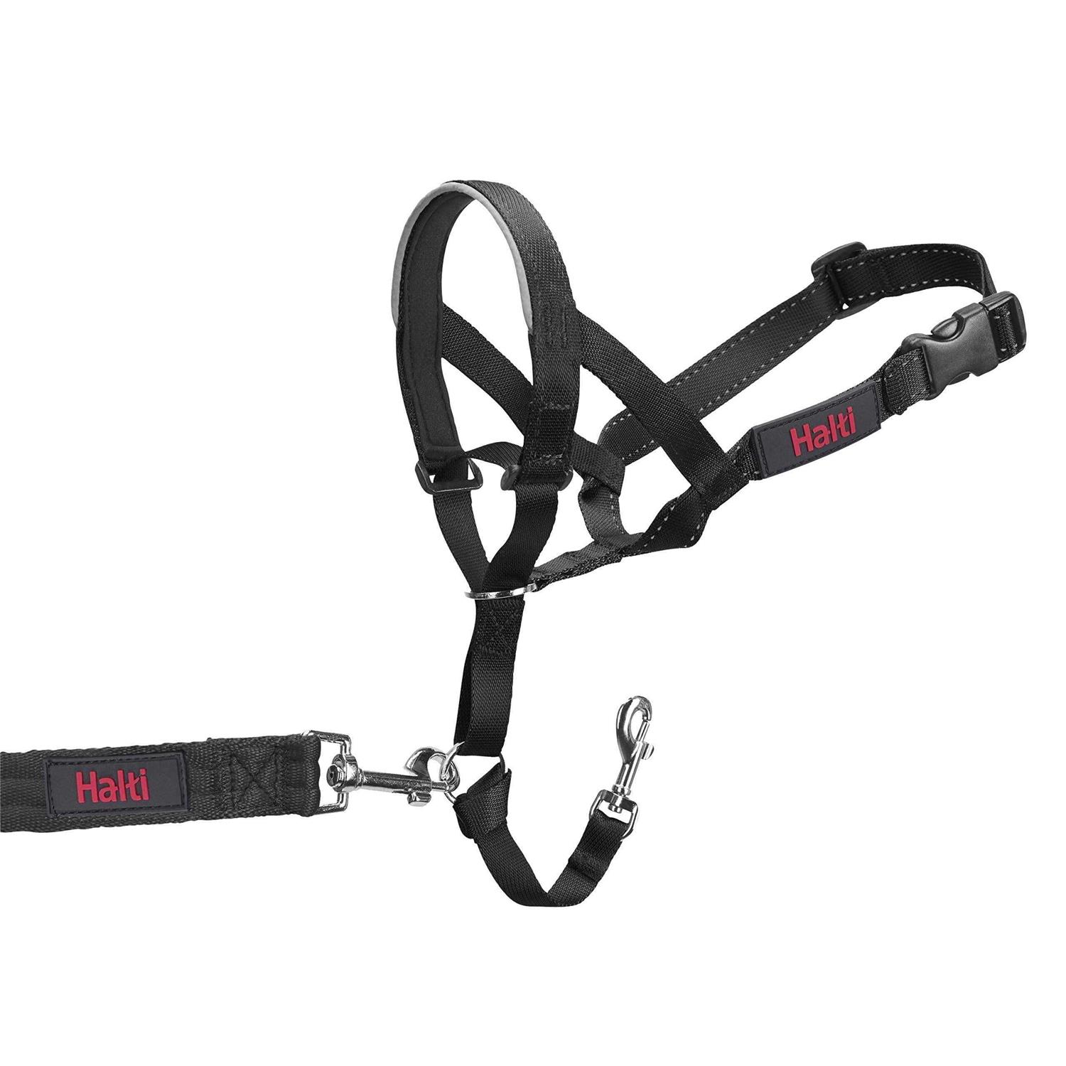 Halti Headcollar - Nail Gallerys