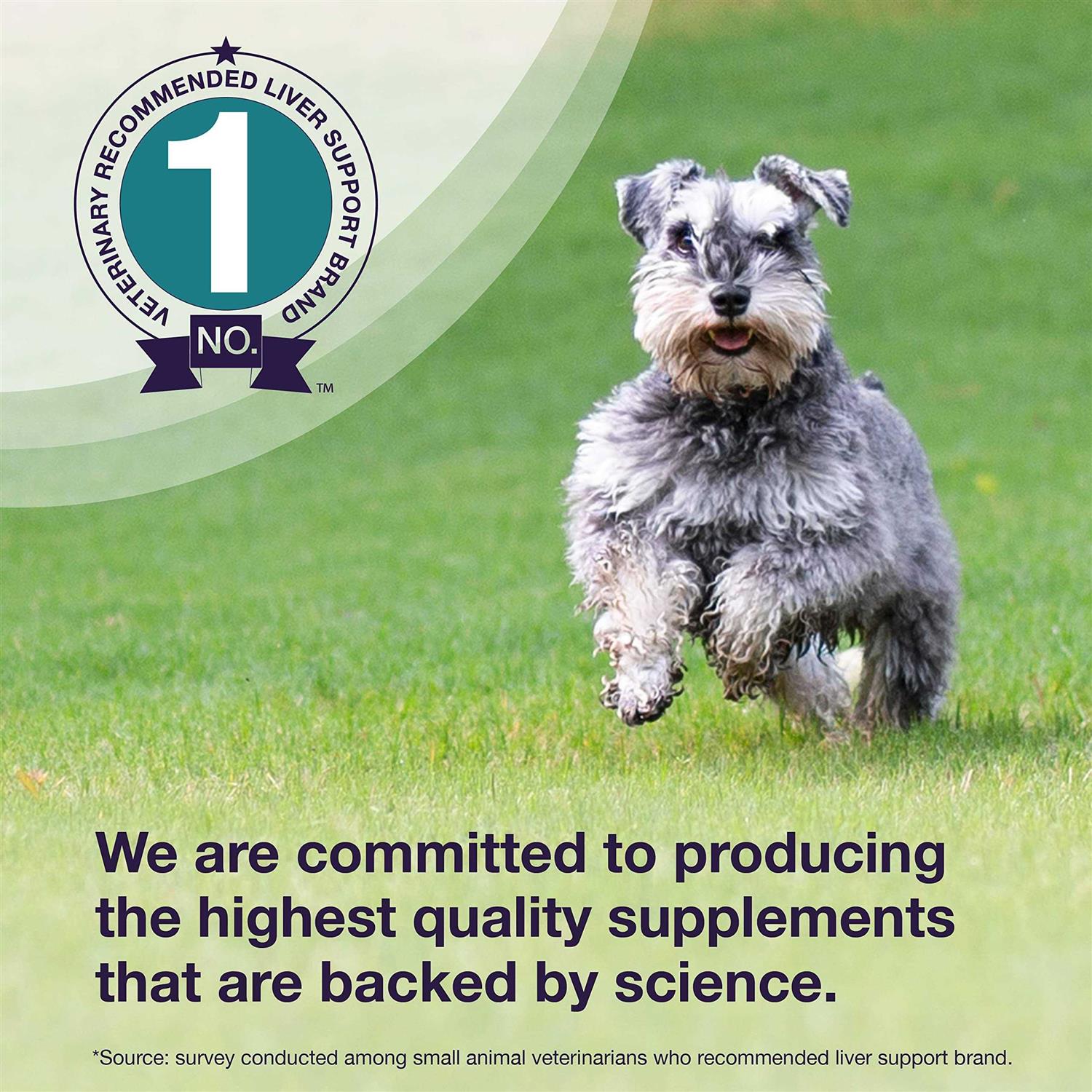 Nutramax Denamarin Liver Health Supplement Dogs - Nail Gallerys