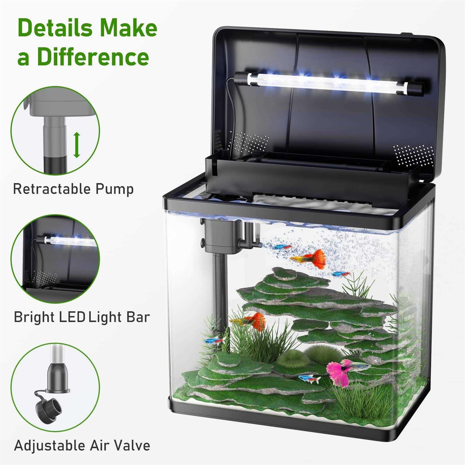 Pondon 5 Gallon Fish Tank, Glass Aquarium with Air Pump, LED Cool Lights and Filter - Nail Gallerys