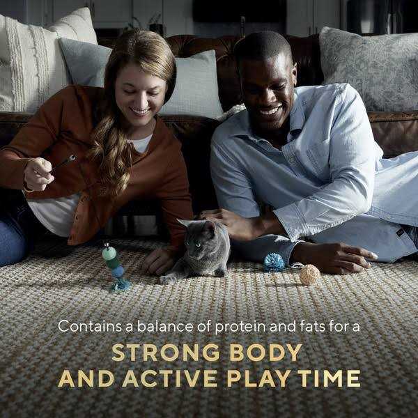 Sheba Perfect Portions Wet Kitten Food Pate - Nail Gallerys