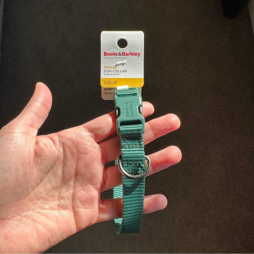 Boots & Barkley Basic Dog Collar - Nail Gallerys