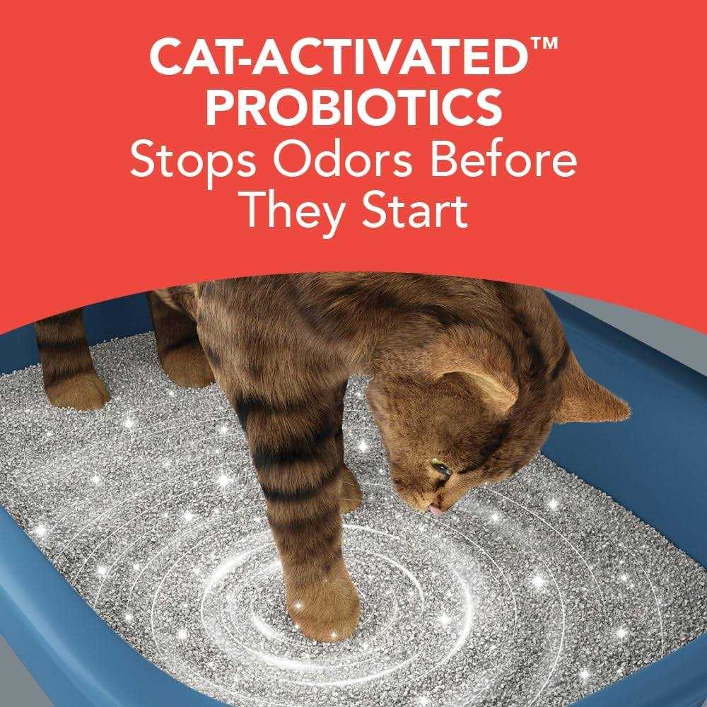 Boxiecat Extra Strength Premium Clumping Clay Cat Litter - Nail Gallerys