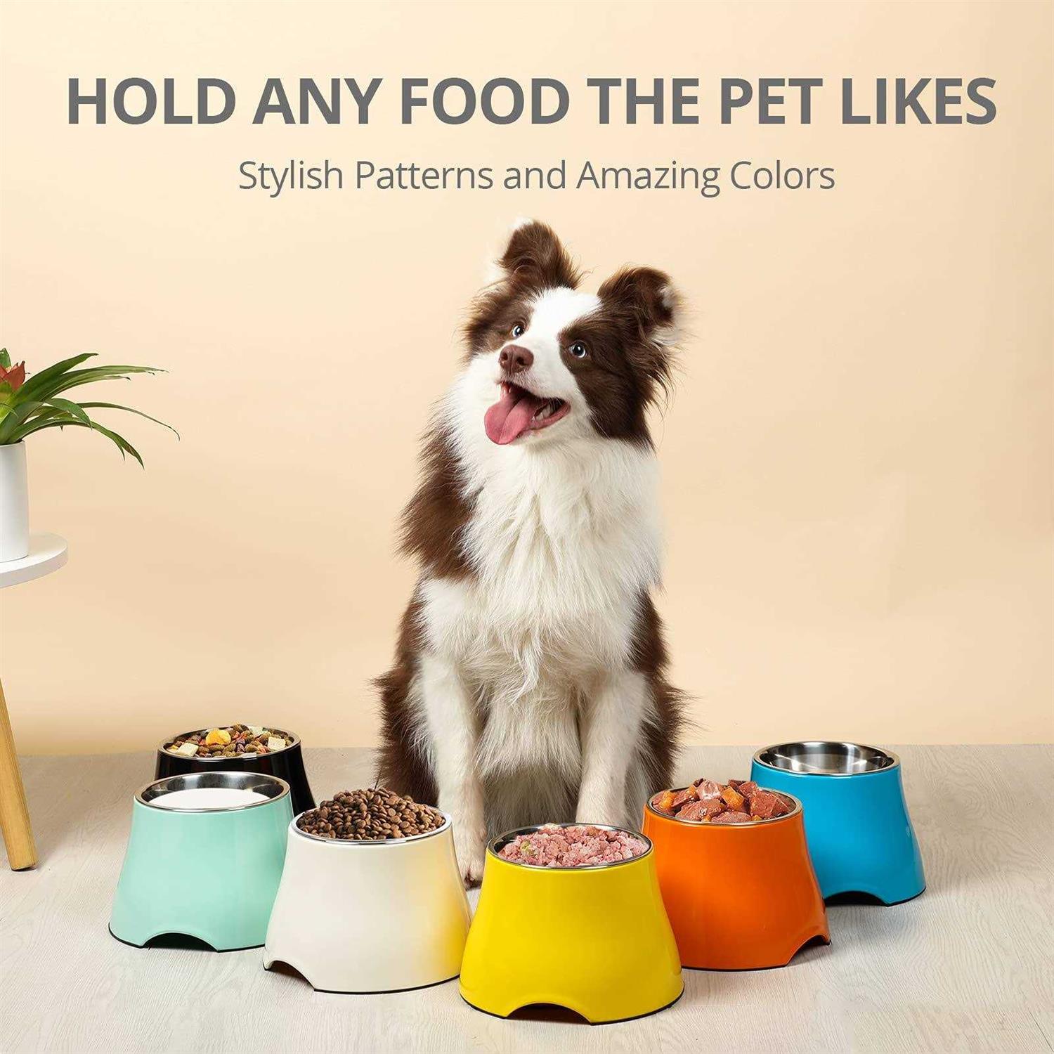 yoken Elevated Dog Bowls Stainless Steel Bowl,Prevention of Vertebrae Disease - Nail Gallerys