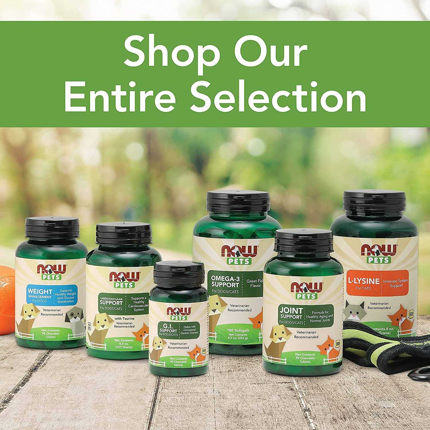 NOW Foods G.I. Support for Dogs & Cats - Nail Gallerys