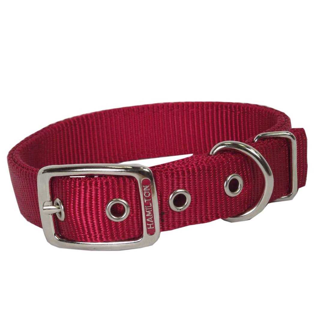 Hamilton Thick Nylon Dog Collar - Nail Gallerys