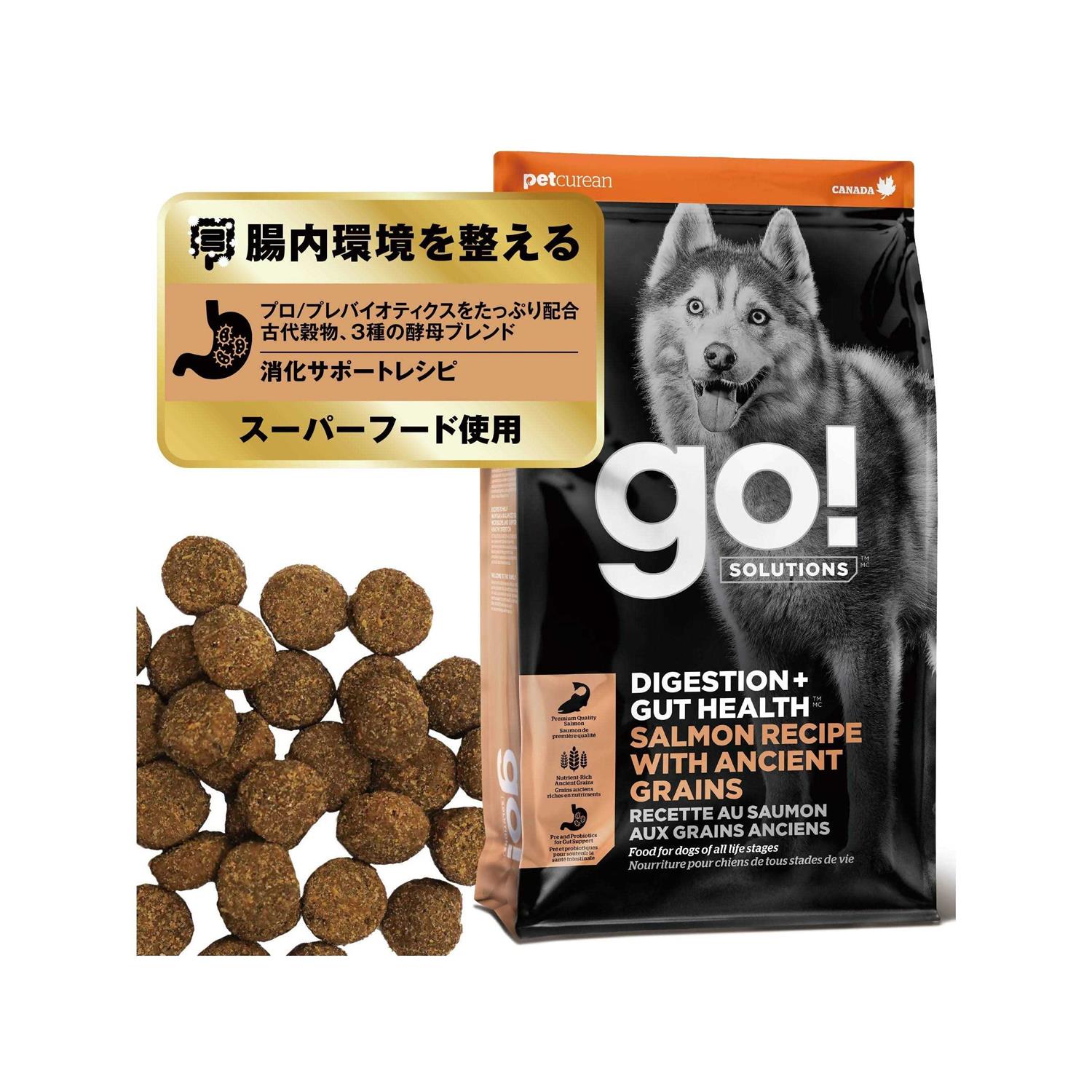 Go! Solutions Digestion Gut Health Salmon Recipe with Ancient Grains for Dogs - Nail Gallerys