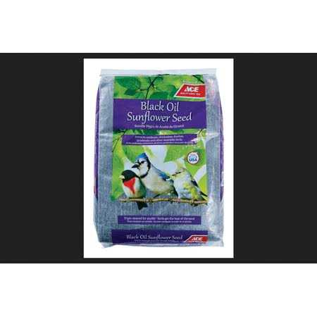 Ace Songbird Black Oil Sunflower Seed Wild Bird Food - Nail Gallerys