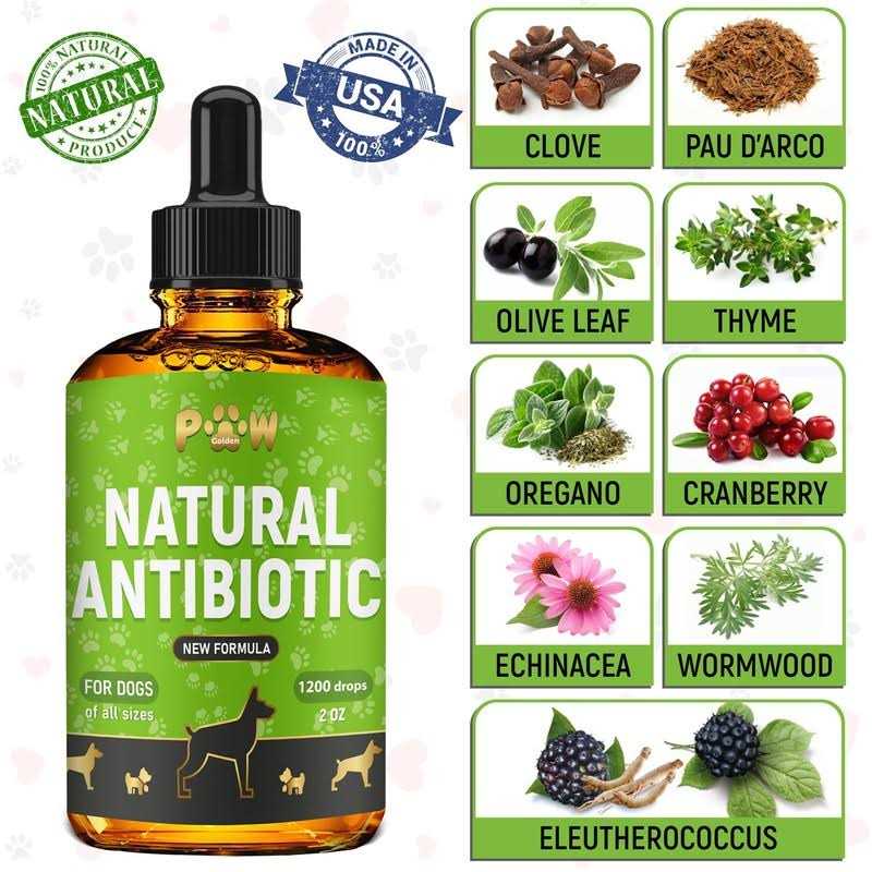 Golden Paw Natural Antibiotics for Dogs Dog Liquid Antibiotics Supports Dog Allergy Relief - Nail Gallerys