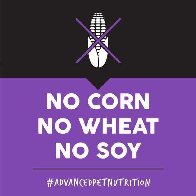 Ultimates Puppy Chicken Meal & Rice Dry Dog Food - Nail Gallerys