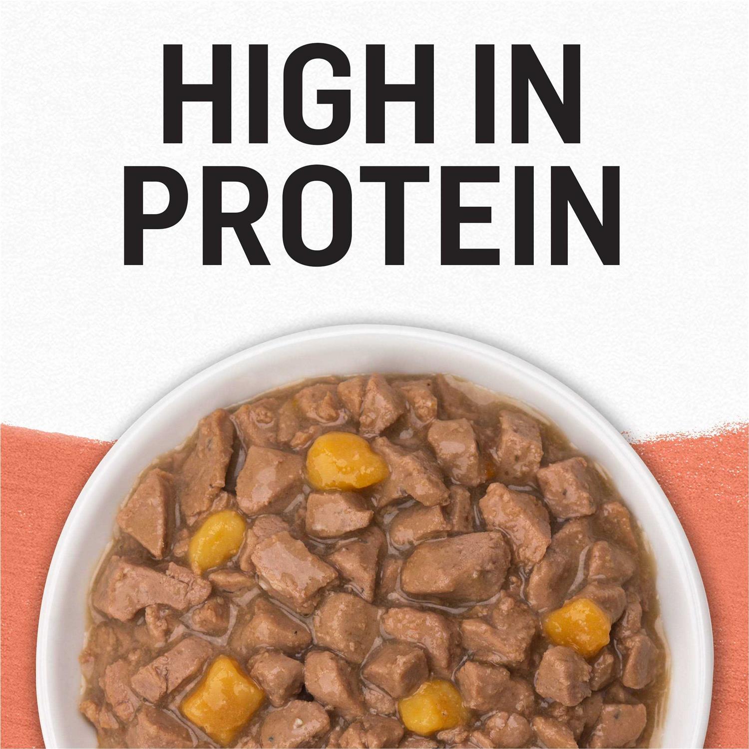 Purina Beyond Grain Free Salmon & Sweet Potato Recipe in Gravy Cat Food - Nail Gallerys