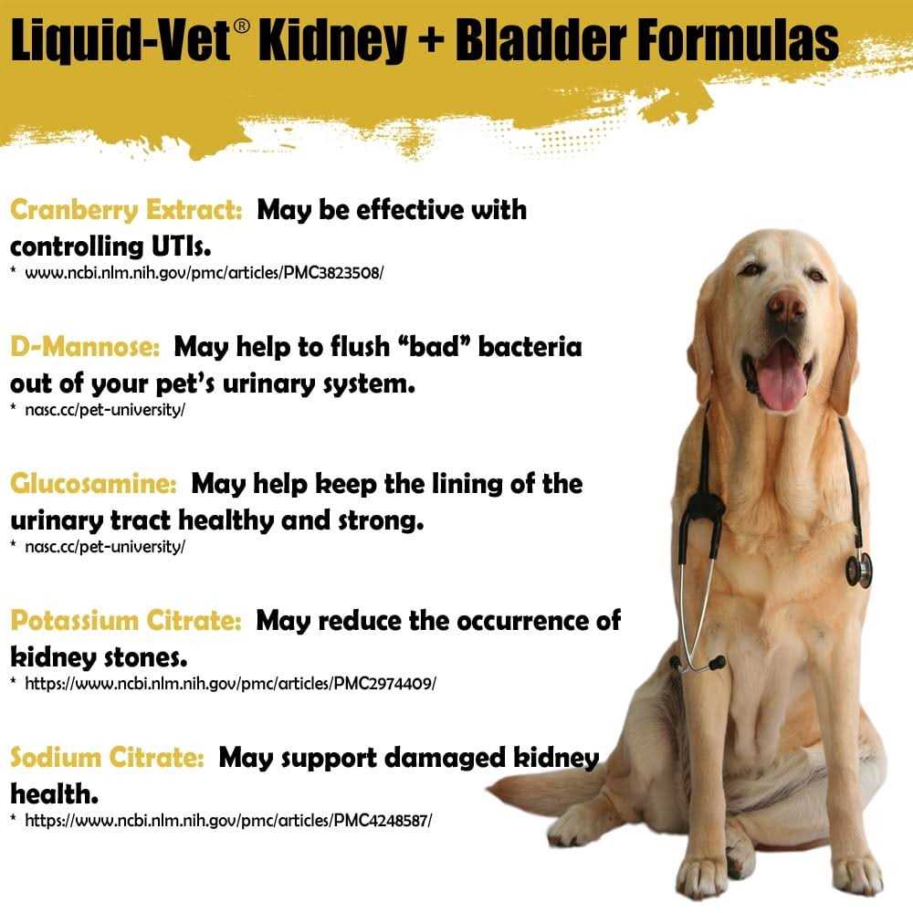Liquid Vet Feline Kidney & Bladder Support - Nail Gallerys