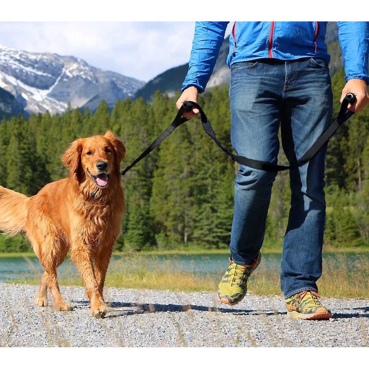 Leashboss Heavy Duty Dog Leash for Large Dogs Double Handle Training Lead for Walking Dogs - Nail Gallerys