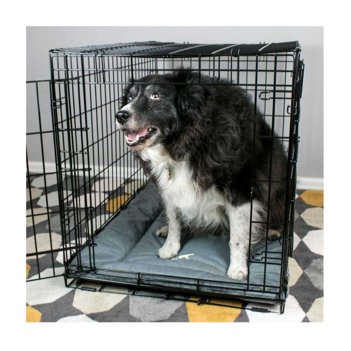 Tall Tails Dream Chaser Crate Dog Bed - Nail Gallerys