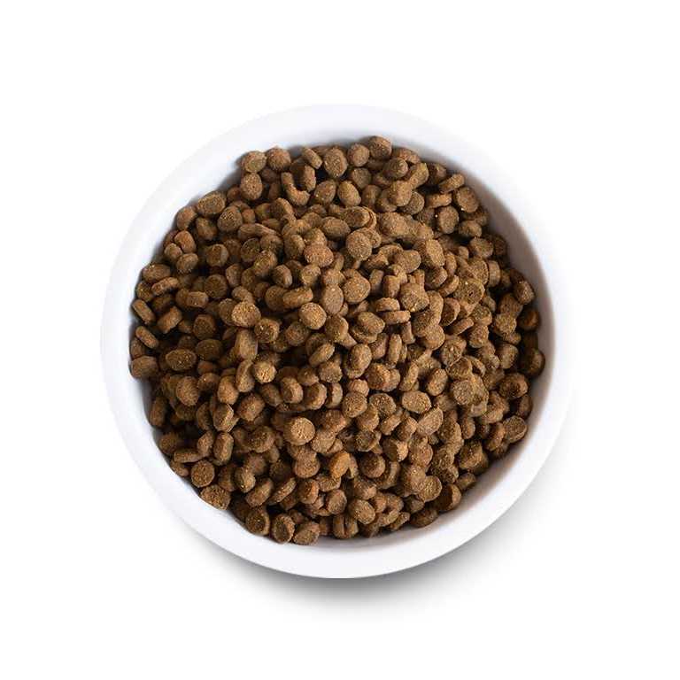 Open Farm Grain Free Pasture Raised Lamb Recipe Dry Cat Food - Nail Gallerys