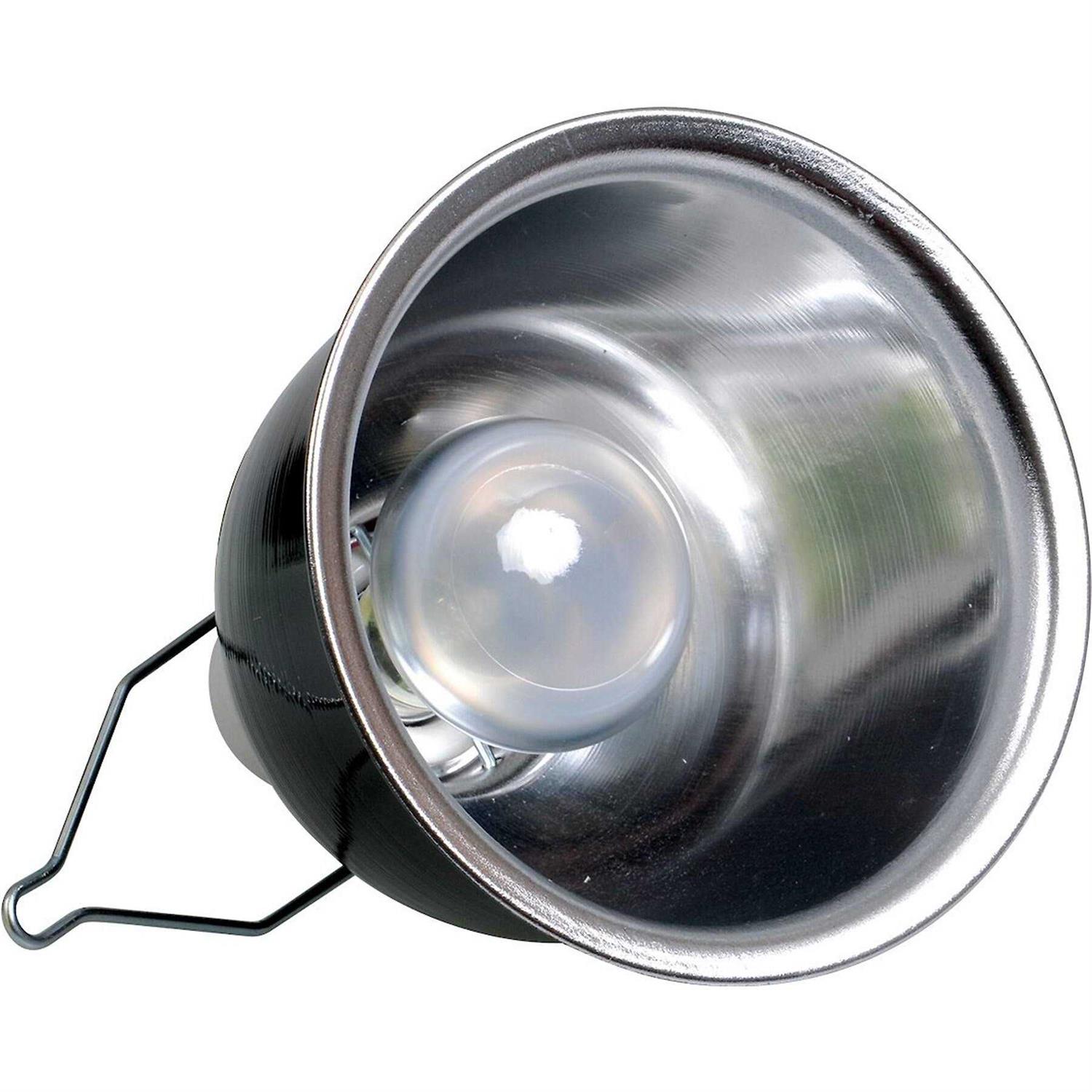 Zoo Med Desert Lighting Combo Pack - Nail Gallerys