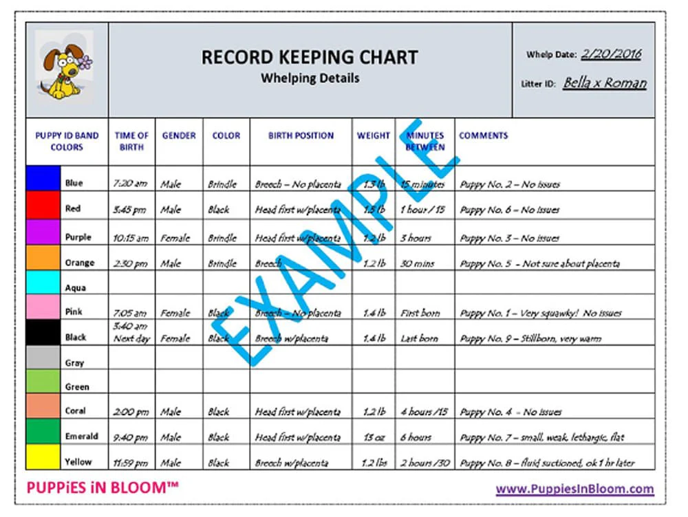 Puppies in Bloom Breeder Record Keeping Charts - Nail Gallerys