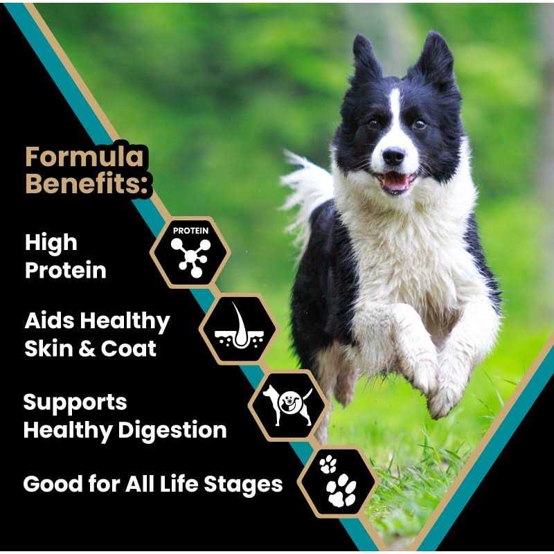 Victor Hi-Pro Plus Dry Dog Food - Nail Gallerys