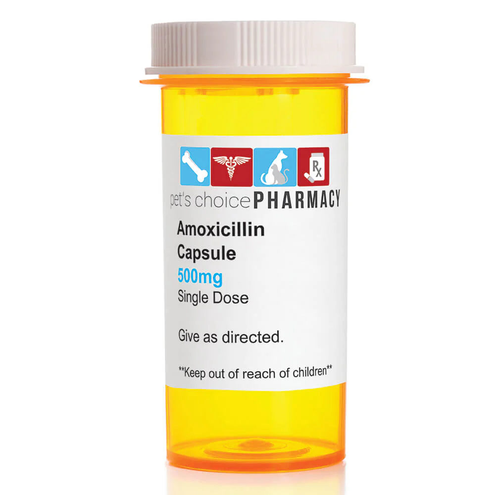 Rx Amoxicillin (Generic) Capsules for Dogs & Cats - Nail Gallerys