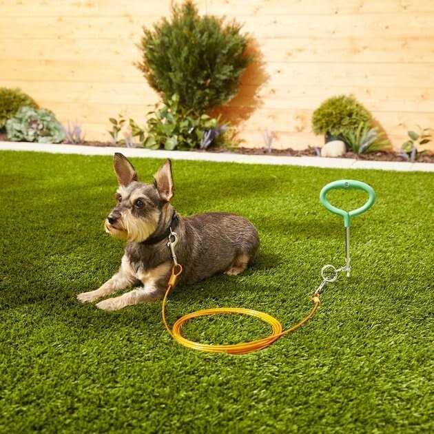 Frisco Tie Out Cable - Nail Gallerys