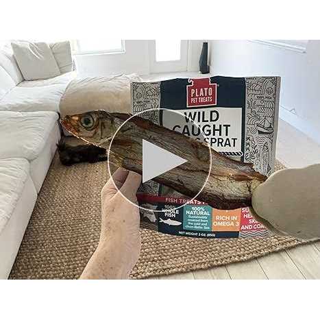 Plato Dog Baltic Herring - Nail Gallerys