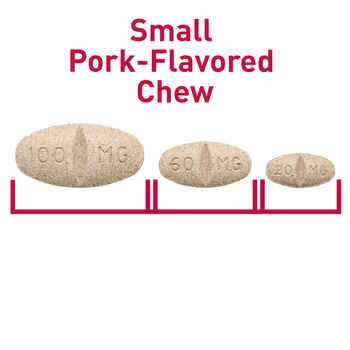 Galliprant mg for Dogs - Nail Gallerys