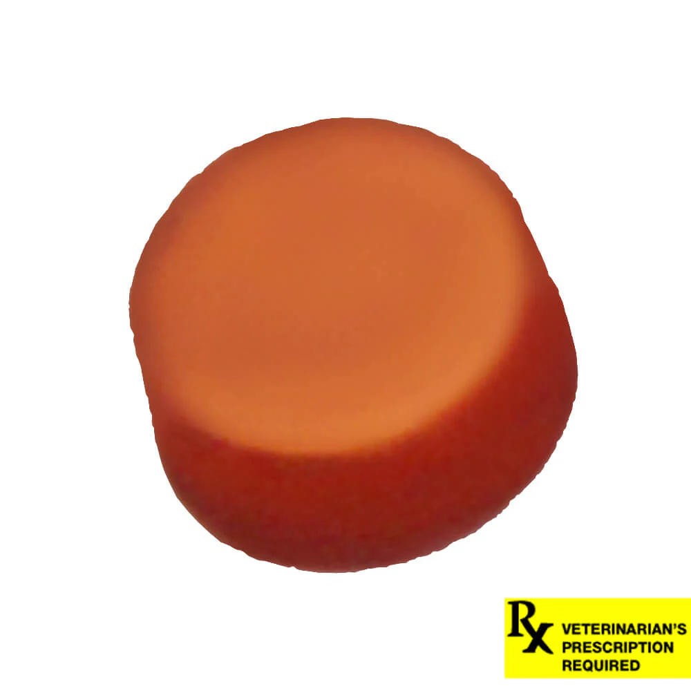 NexGard Flea and Tick Chewables for Dogs - Nail Gallerys