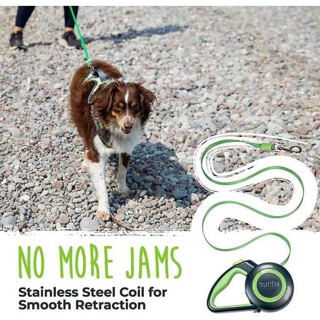Mighty Paw Retractable 2.0 Dog Leash - Nail Gallerys