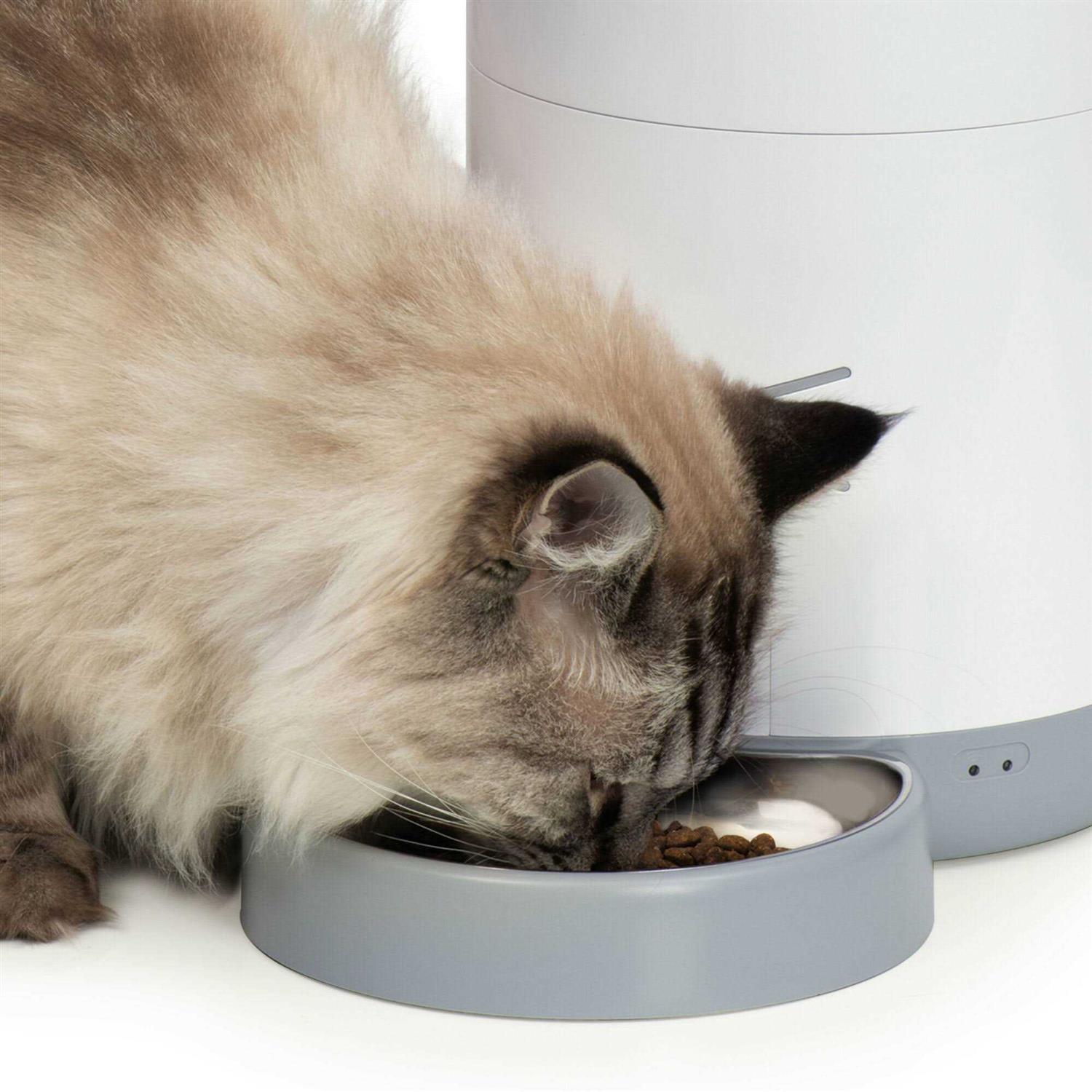 Catit Pixi Smart Feeder - Nail Gallerys